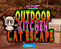 KNF Outdoor Kitchen Cat Escape