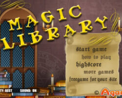 Magic Library